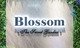 Blossom Secret Garden