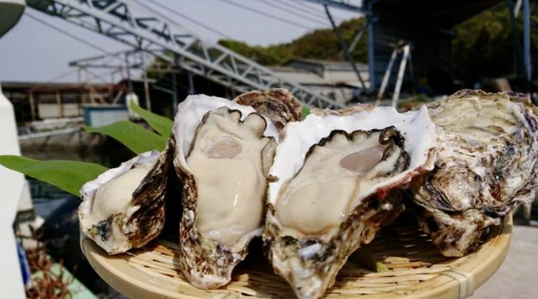 Sushi Ebisu｜新宿店-週日至週四限定｜嚴選牡蠣吃到飽