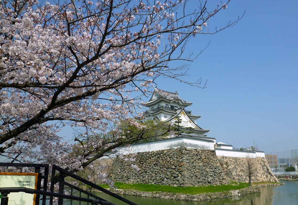 大阪賞櫻