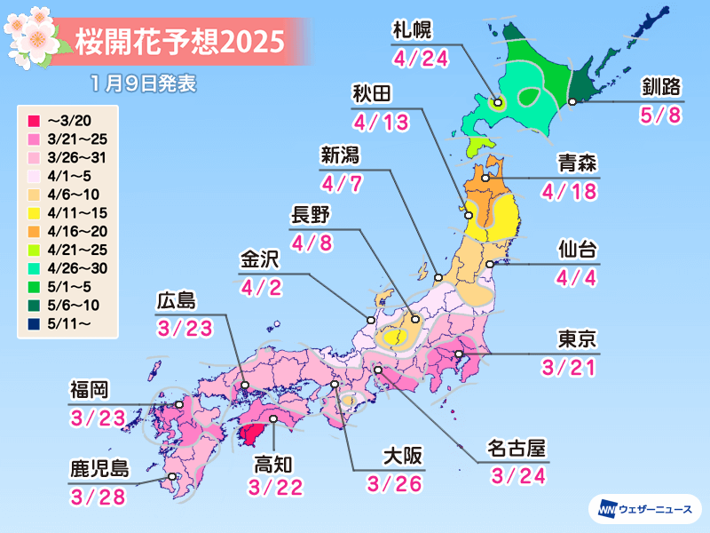 2025 日本櫻花