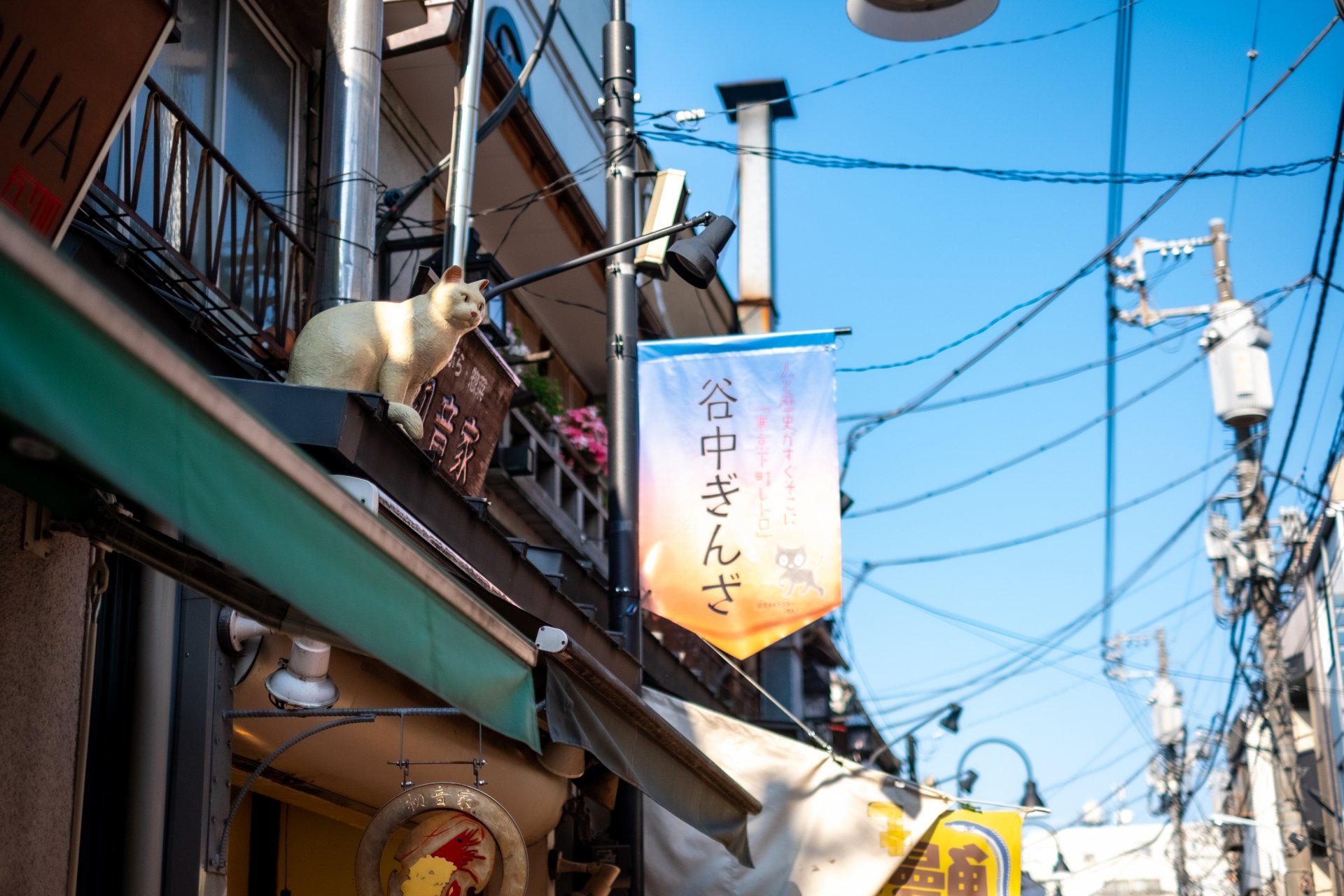 谷中銀座餐廳