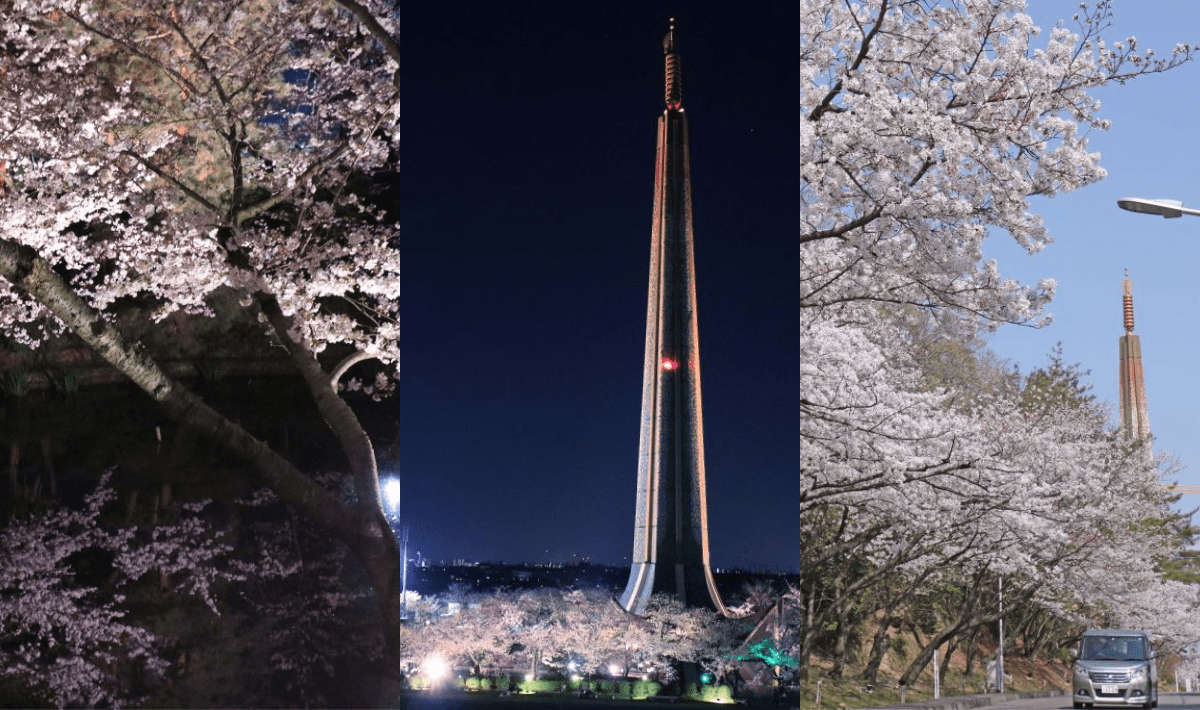 大阪賞櫻