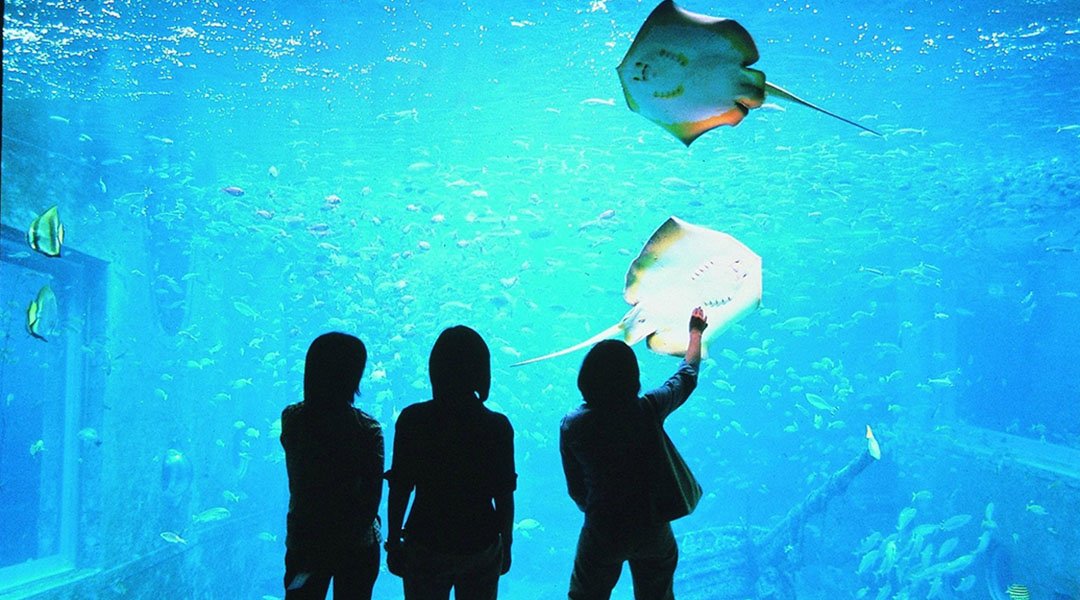 Hakone-en Aquarium | FunNow - On-demand online booking platform