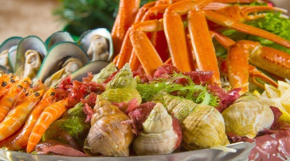 園林閣咖啡室 @龍堡國際