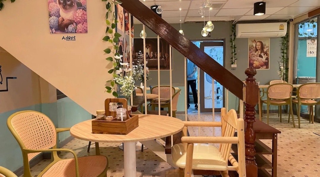 Siamese Cat Cafe Bangkok