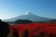 日本當地遊