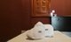 Ayu Spa