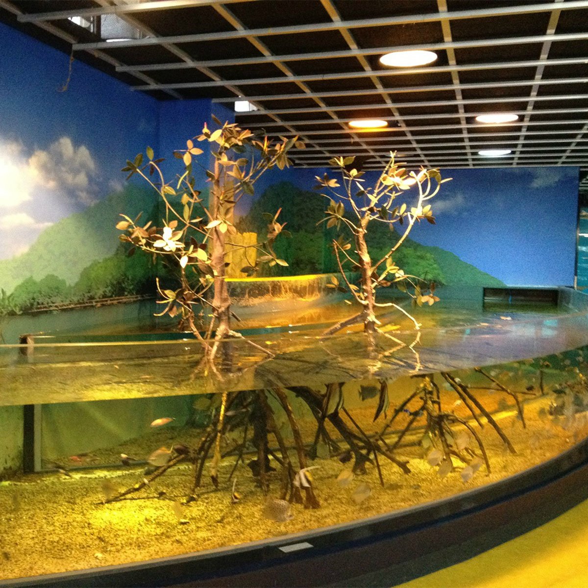 Hakone-en Aquarium | FunNow - On-demand online booking platform