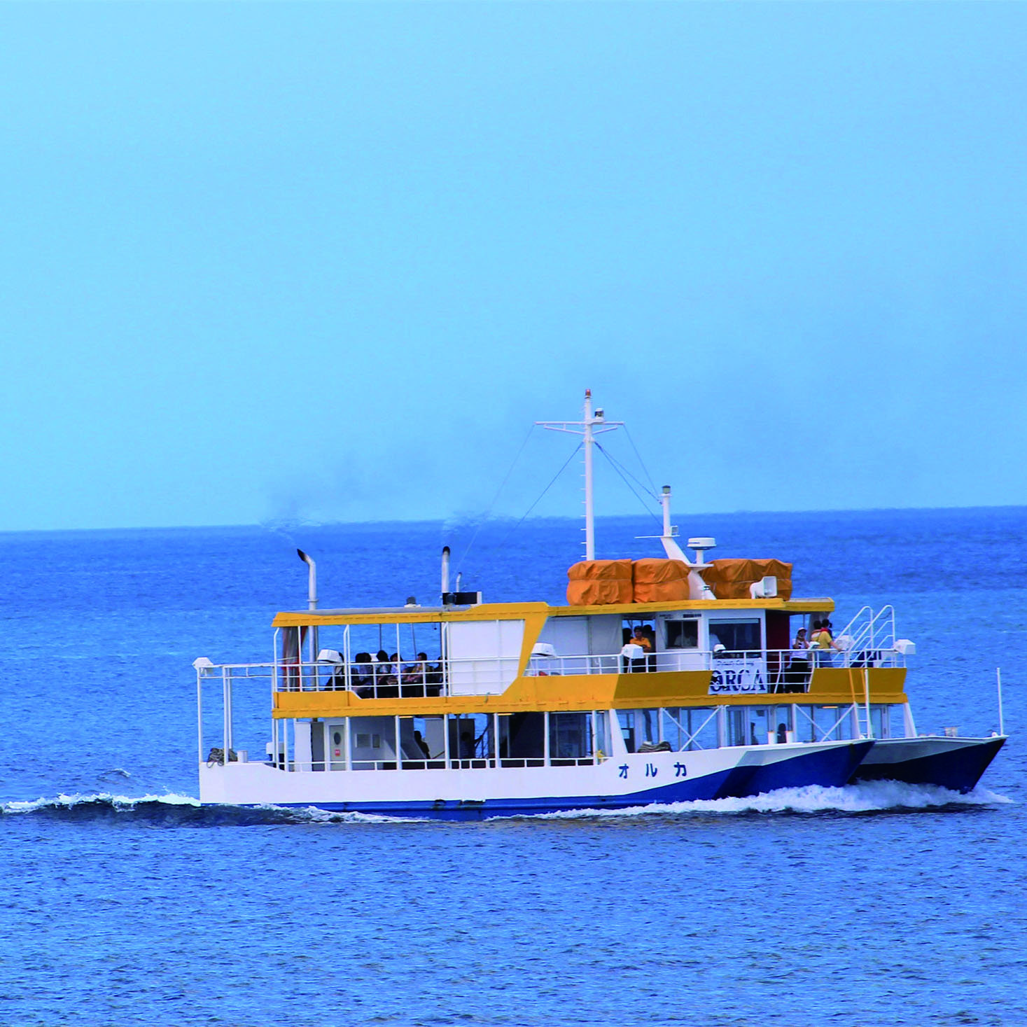 Underwater Sightseeing Tour｜Niceday