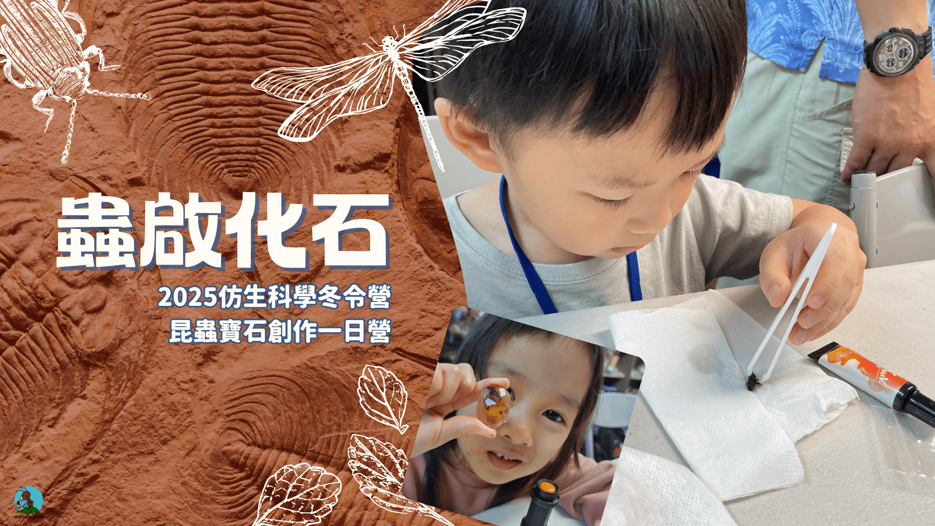 【6~12歲】蟲啟化石：昆蟲寶石創作一日冬令營