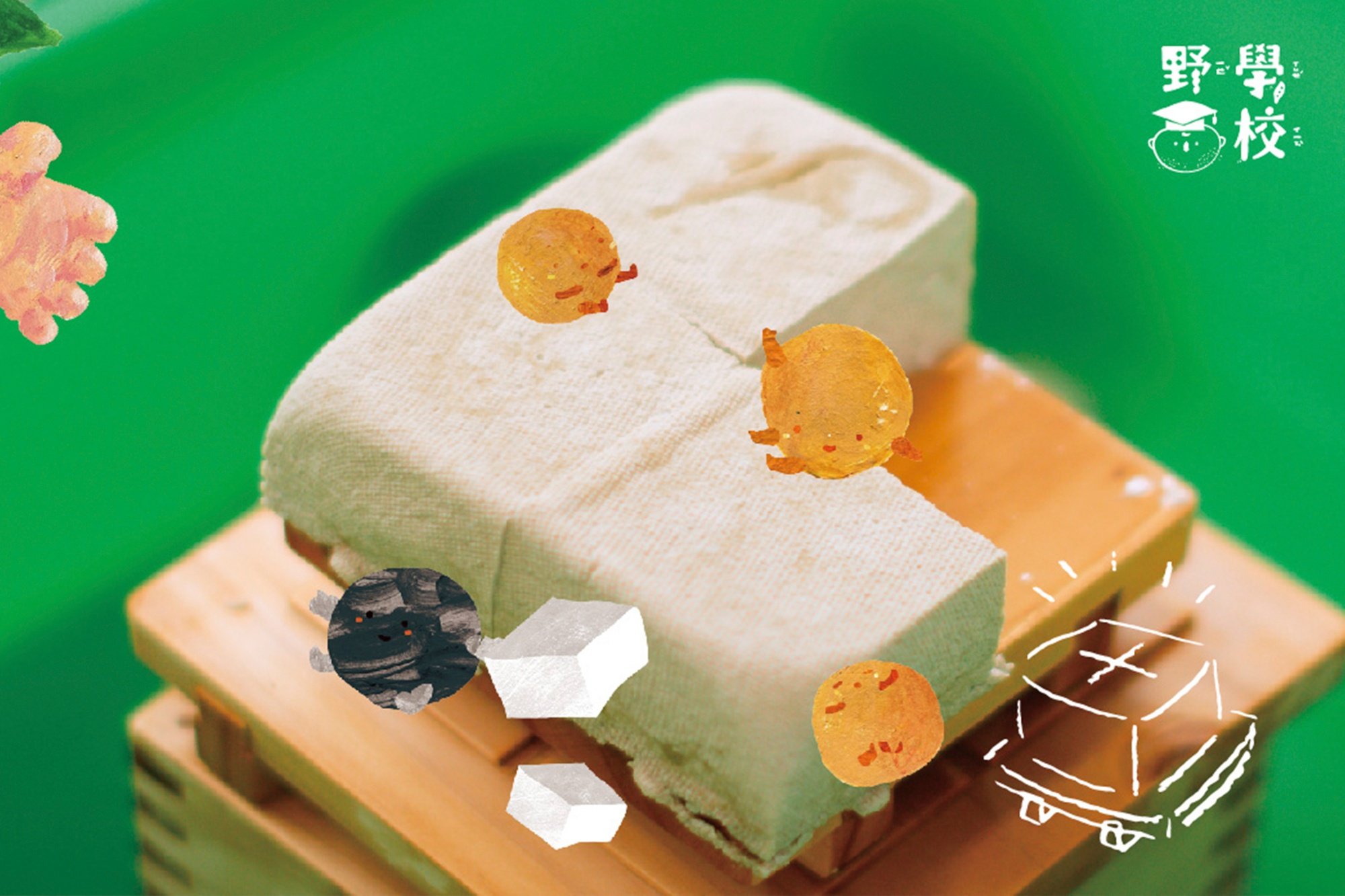 【3歲以上】手感豆腐 DIY｜豆田體驗之旅Ｘ田野食農（半日行程含午餐） 