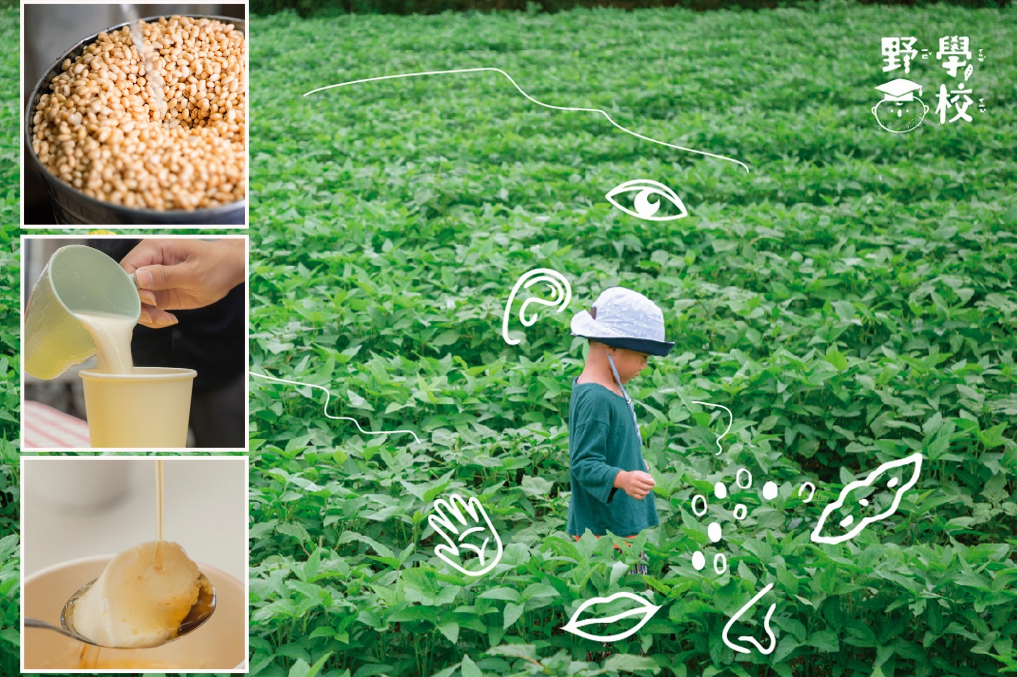 【3歲以上】手沖豆花 DIY｜豆田體驗之旅Ｘ田野食農（半日行程含午餐） 