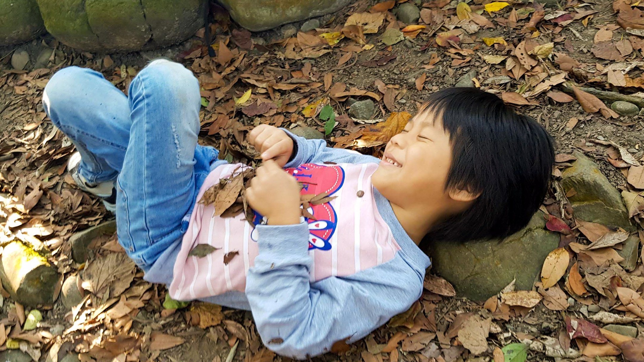 【3歲以上｜台中都會公園｜老鷹眼】小小叢林探險家：五感體驗｜淺山自然生態課