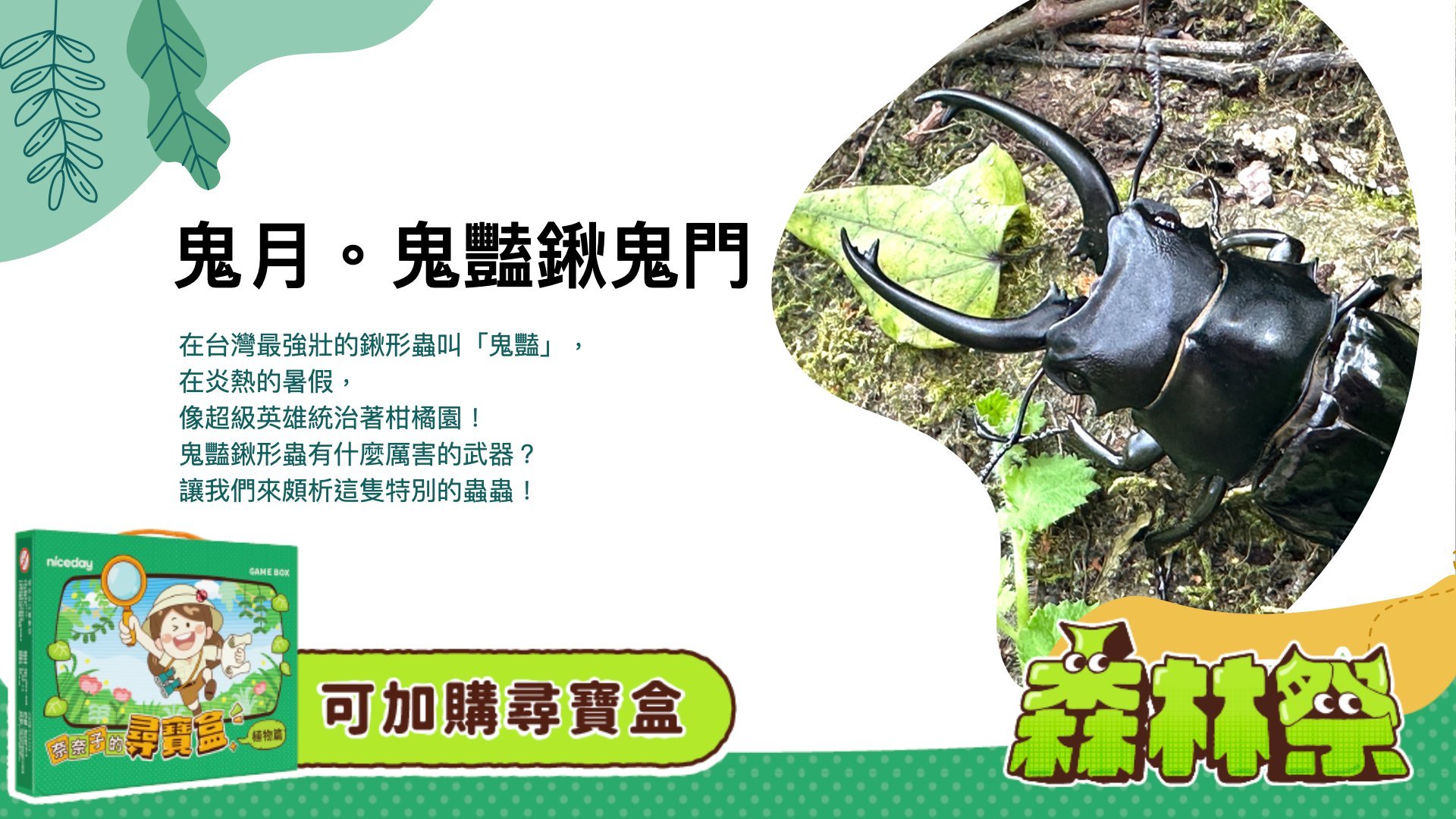 【5~12歲親子】2024 親子昆蟲課程《鬼月。鬼豔鍬鬼門》