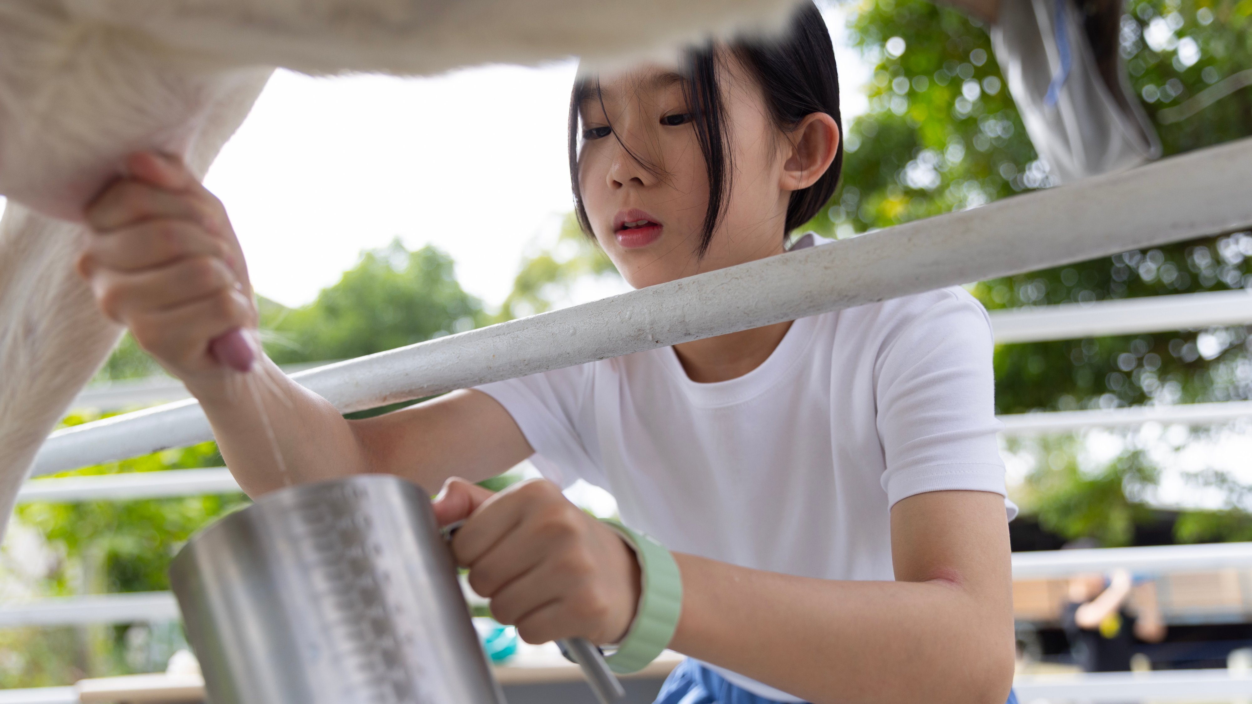 【6歲以上｜食農教育】咩咩擠奶做皂體驗：羊奶原來這樣來