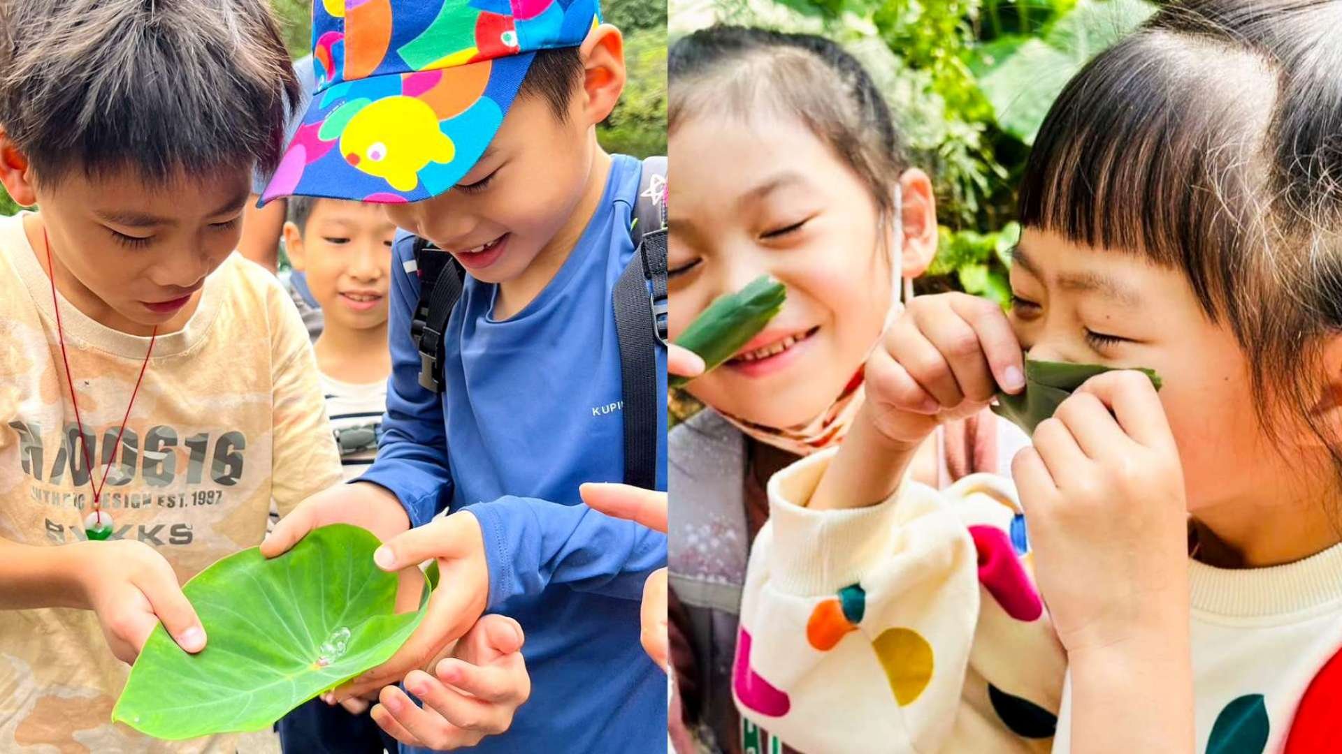 【6歲以上｜劍潭山步道】小小叢林探險家：野地生活家｜淺山自然生態課