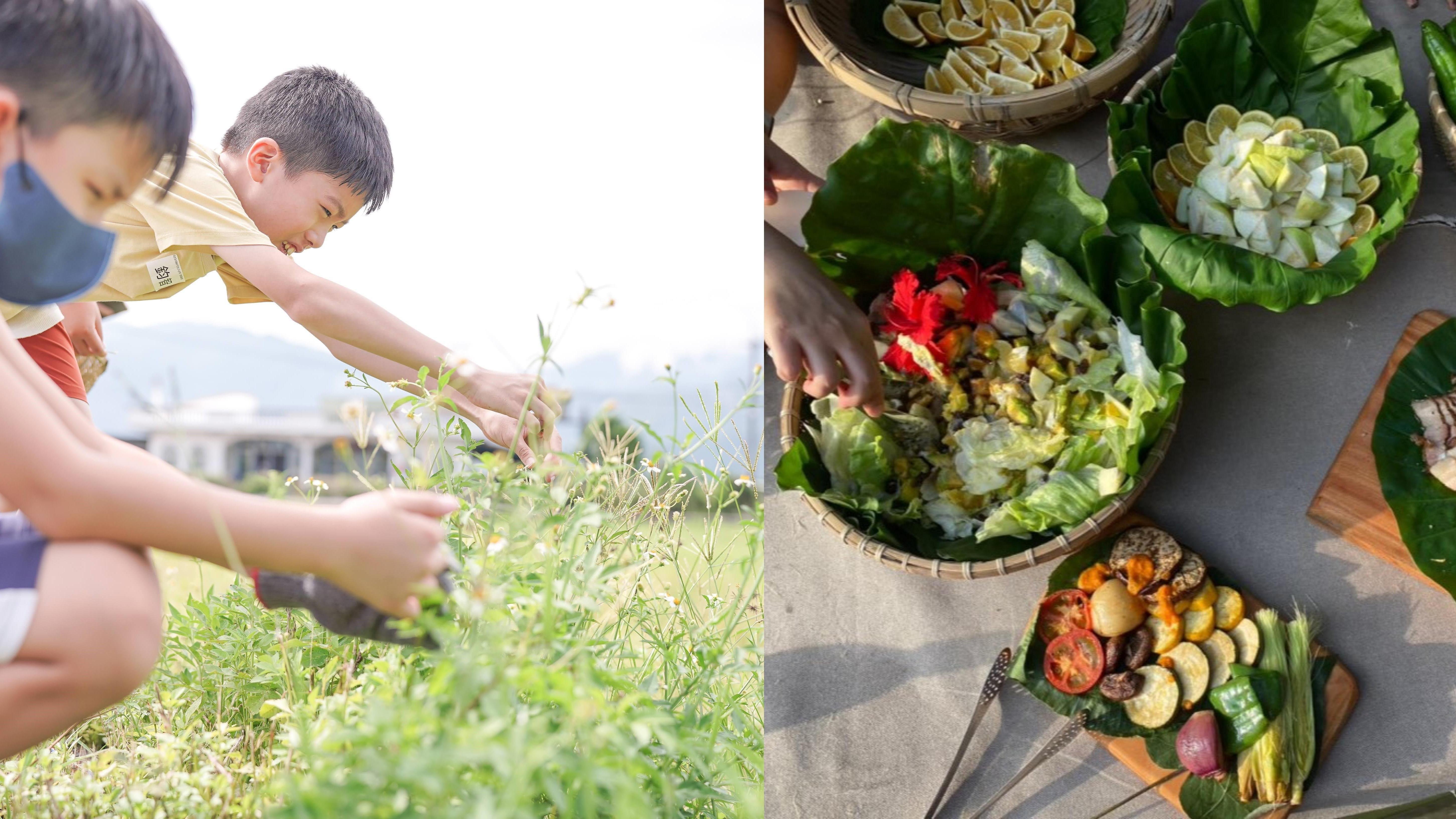 【3歲以上｜宜蘭】小小野菜廚師：自然採集體驗 X 大地餐桌