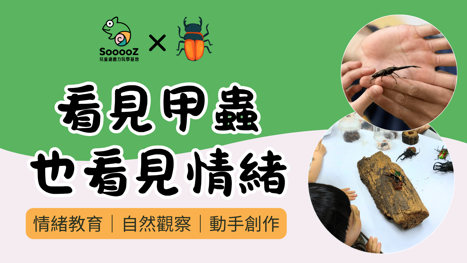 【6~8歲｜台北中山】看見甲蟲，也看見情緒