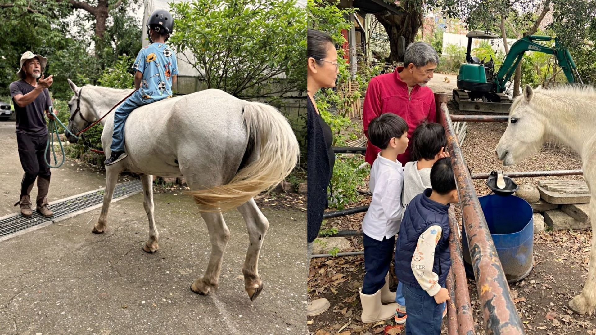 【6~12歲｜北投】自然騎乘課 X 馬術體驗