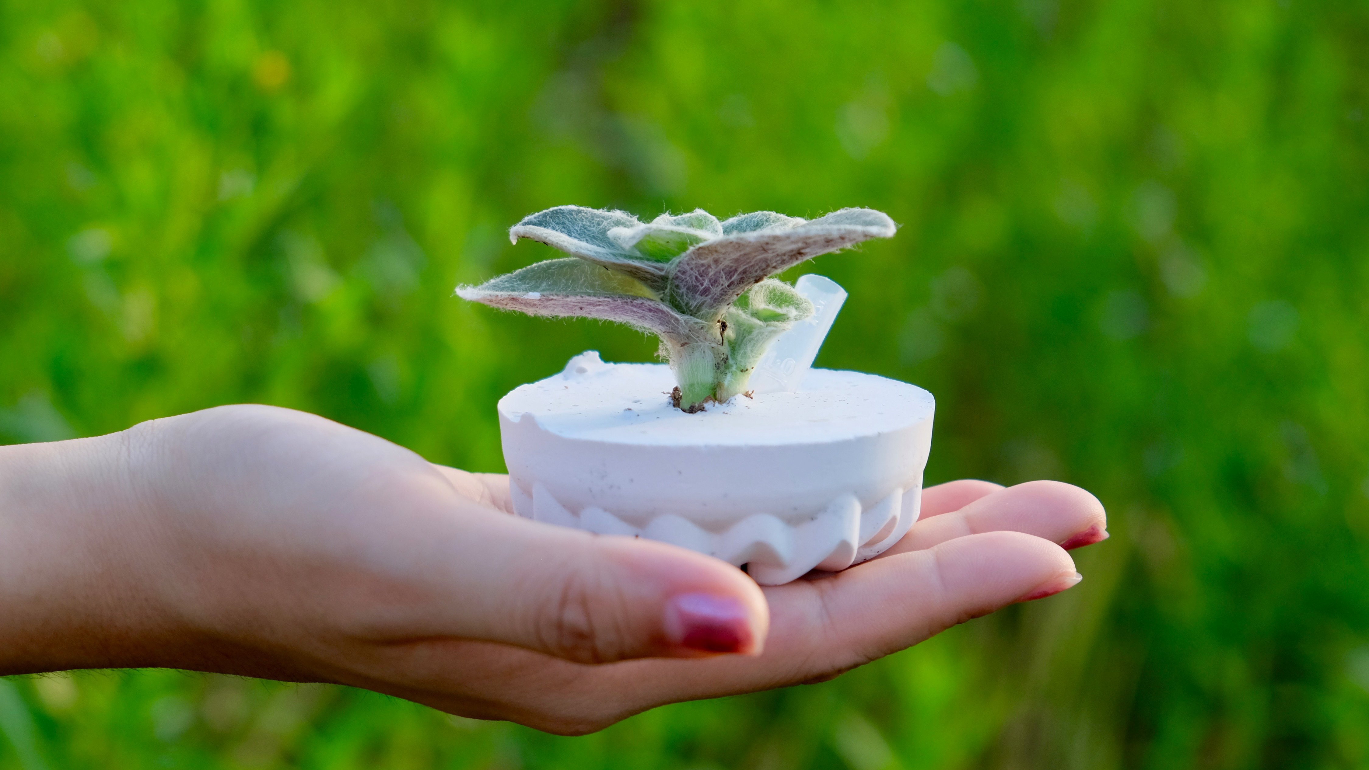 【10歲以上】植想與你在一塊：創意發想手作