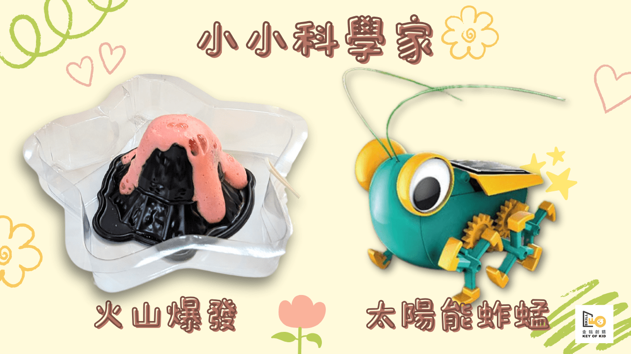 【6歲以上】小小科學家：邏輯思考Ｘ觀察力Ｘ跨領域學習