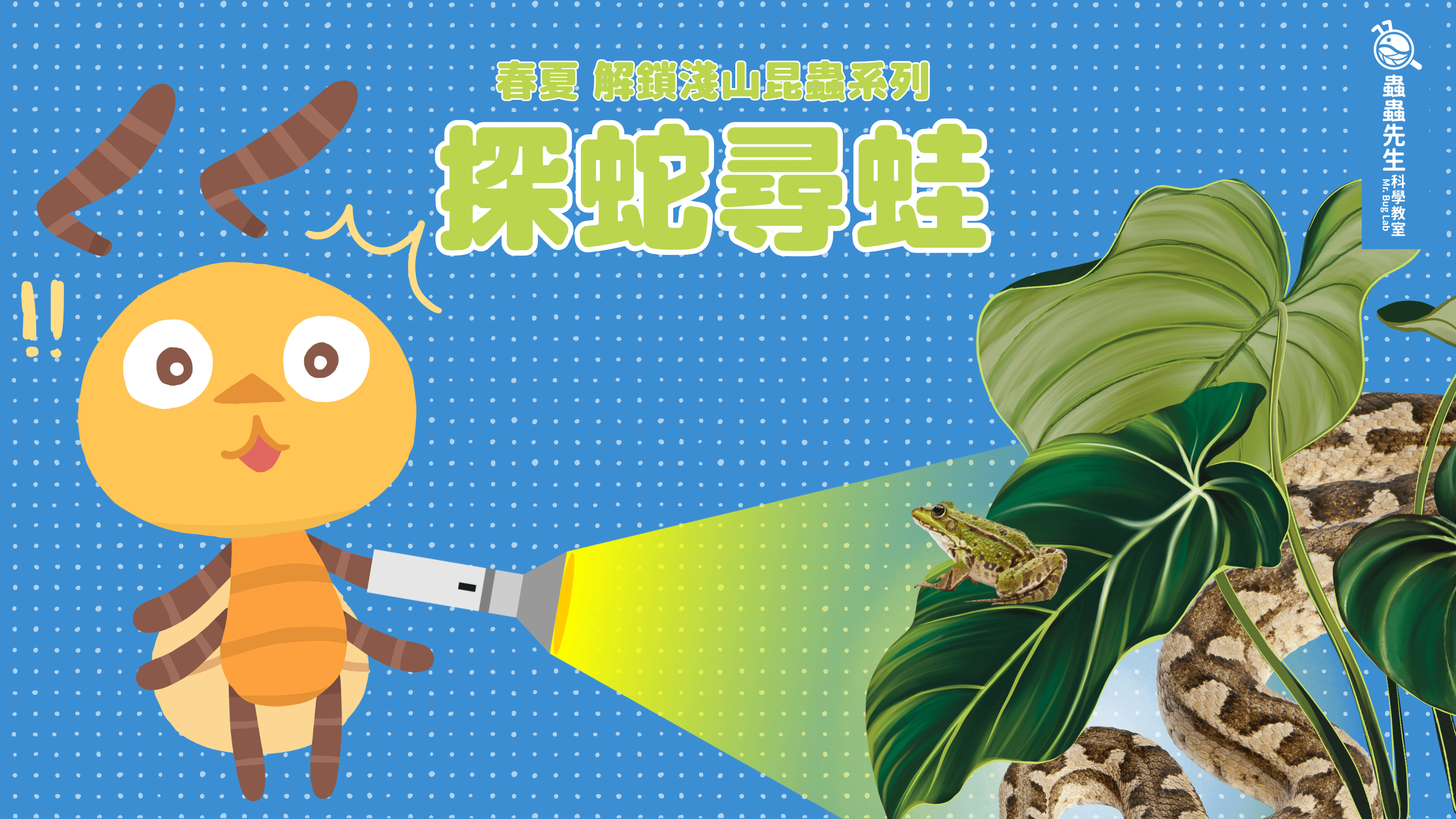 【6歲以上｜夏季限定】夜訪虎山：探蛇尋蛙 X 淺山昆蟲親子戶外課