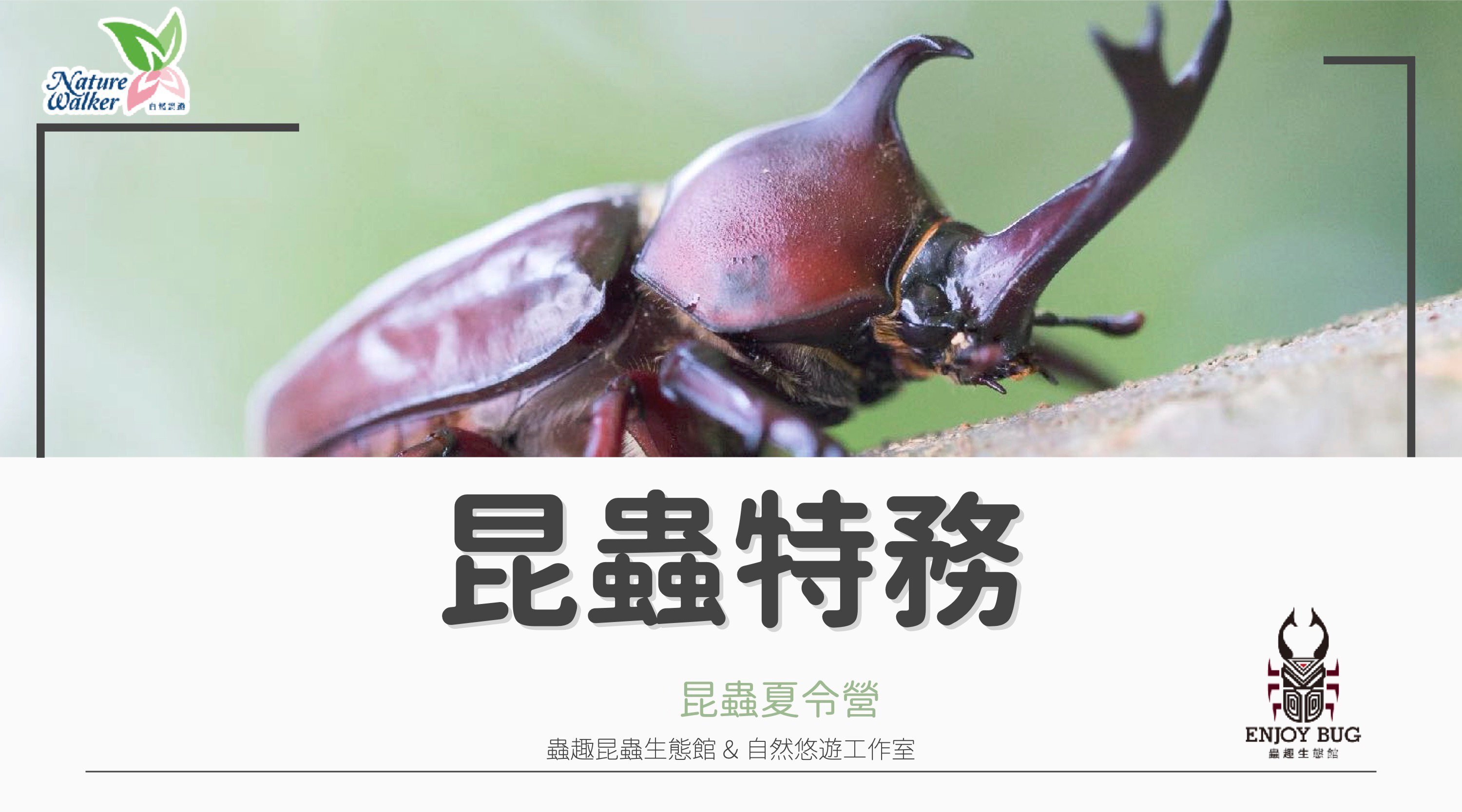 【升1~6年級】昆蟲特務五日夏令營：探索 x 解密竹北生態