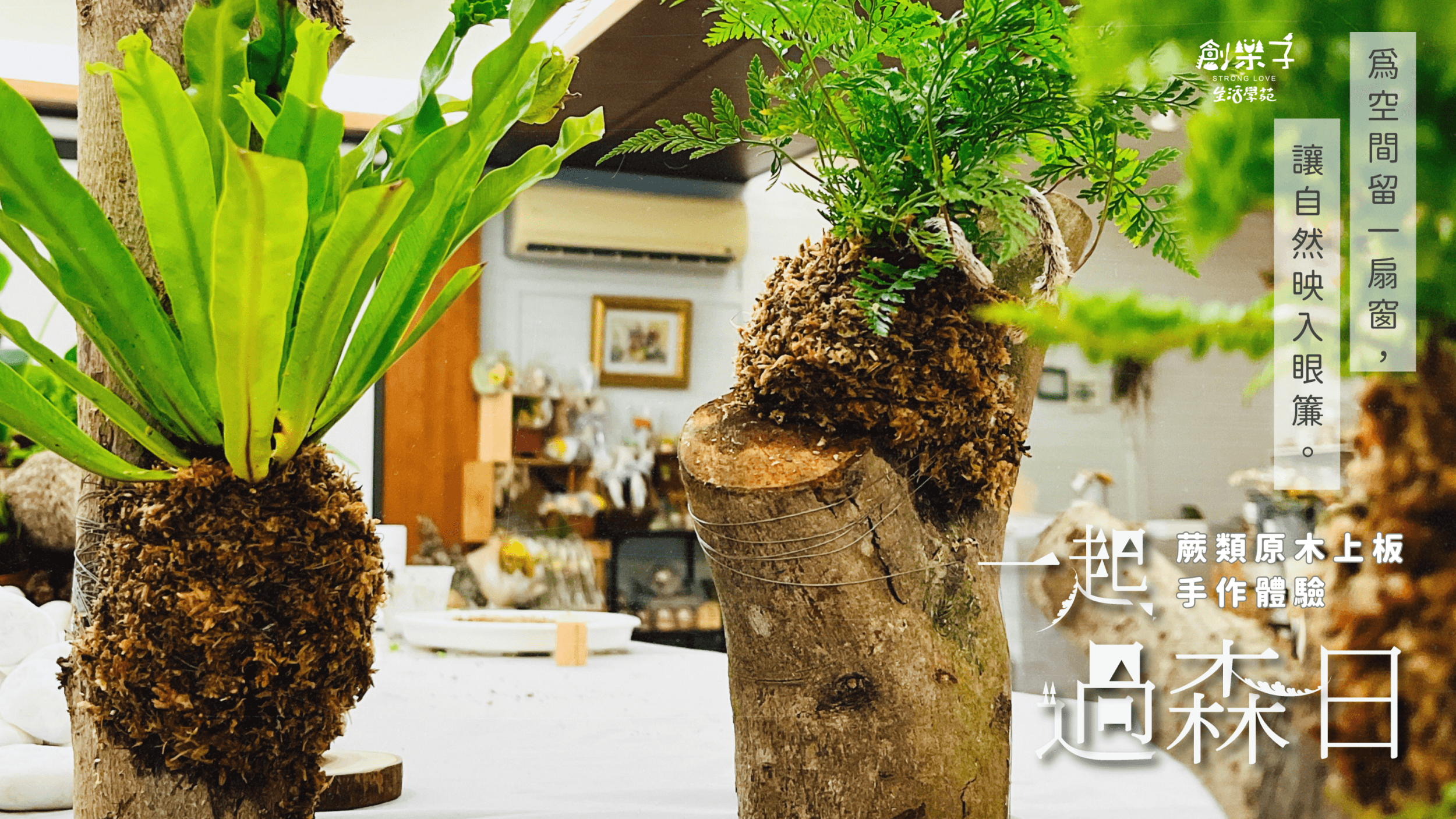 【9歲以上｜暑假限定｜雲林古坑】炎炎夏日の生活提案，一起過「森」日