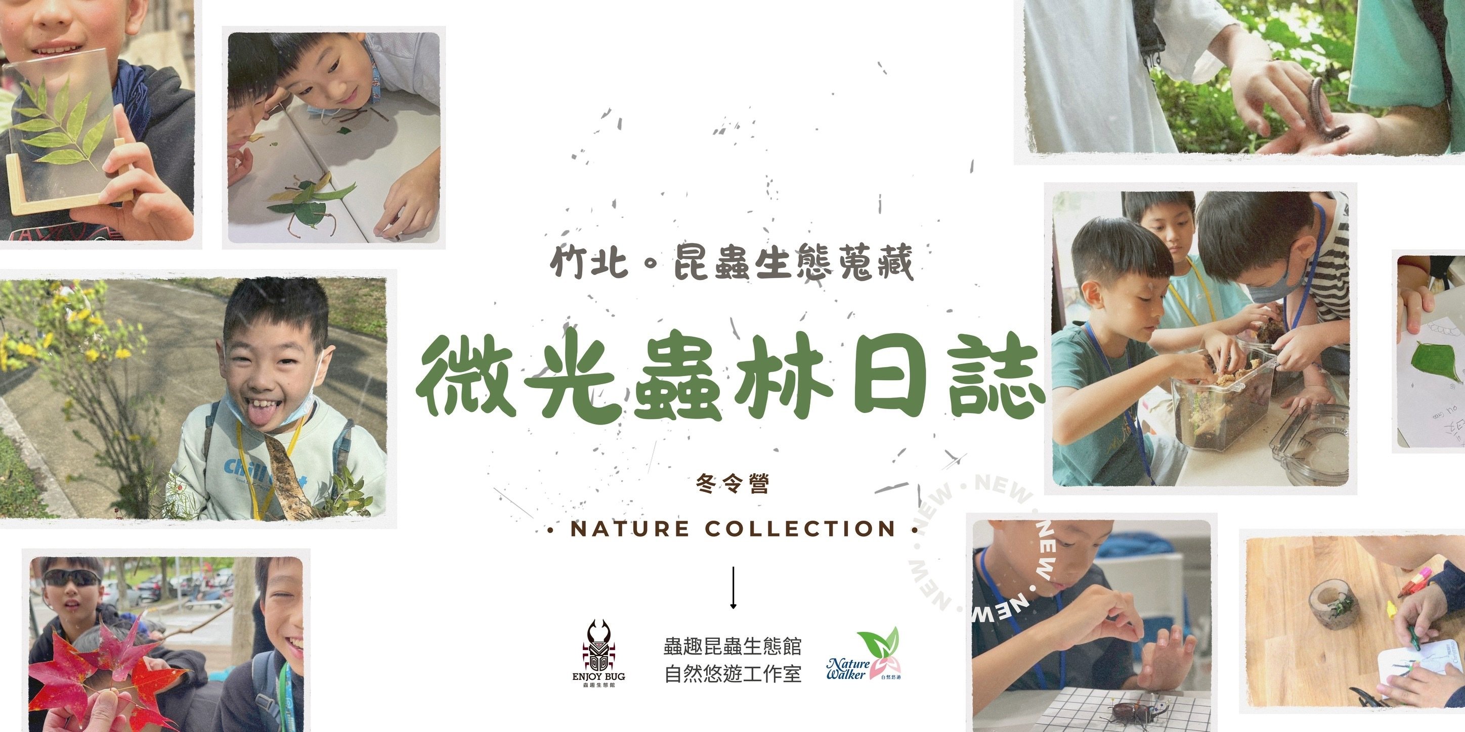 【6~12歲】竹北。微光蟲林日誌｜自然生態蒐藏五日不過夜冬令營