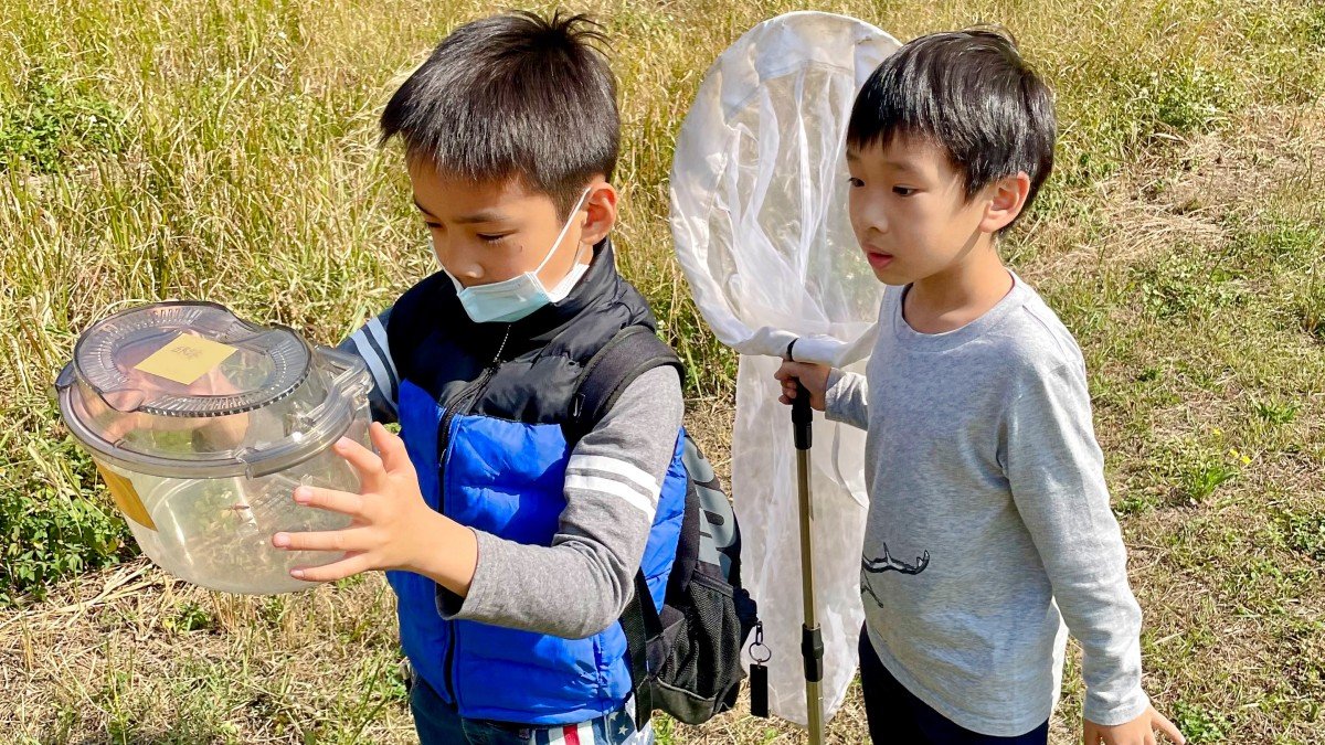 【7~12歲】甲蟲物語：蟲前篇章｜昆蟲記述挑戰五日冬令營