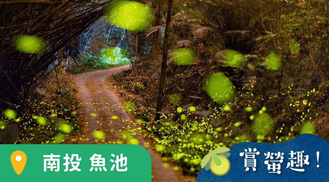 【3歲以上｜南投魚池】噓！夜間觀察兼賞螢：螢火蟲秘境Ｘ生態觀察Ｘ全家賞螢