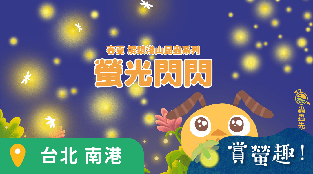 【6歲以上｜台北南港】螢光閃閃：螢火蟲探秘 X 淺山昆蟲親子戶外課