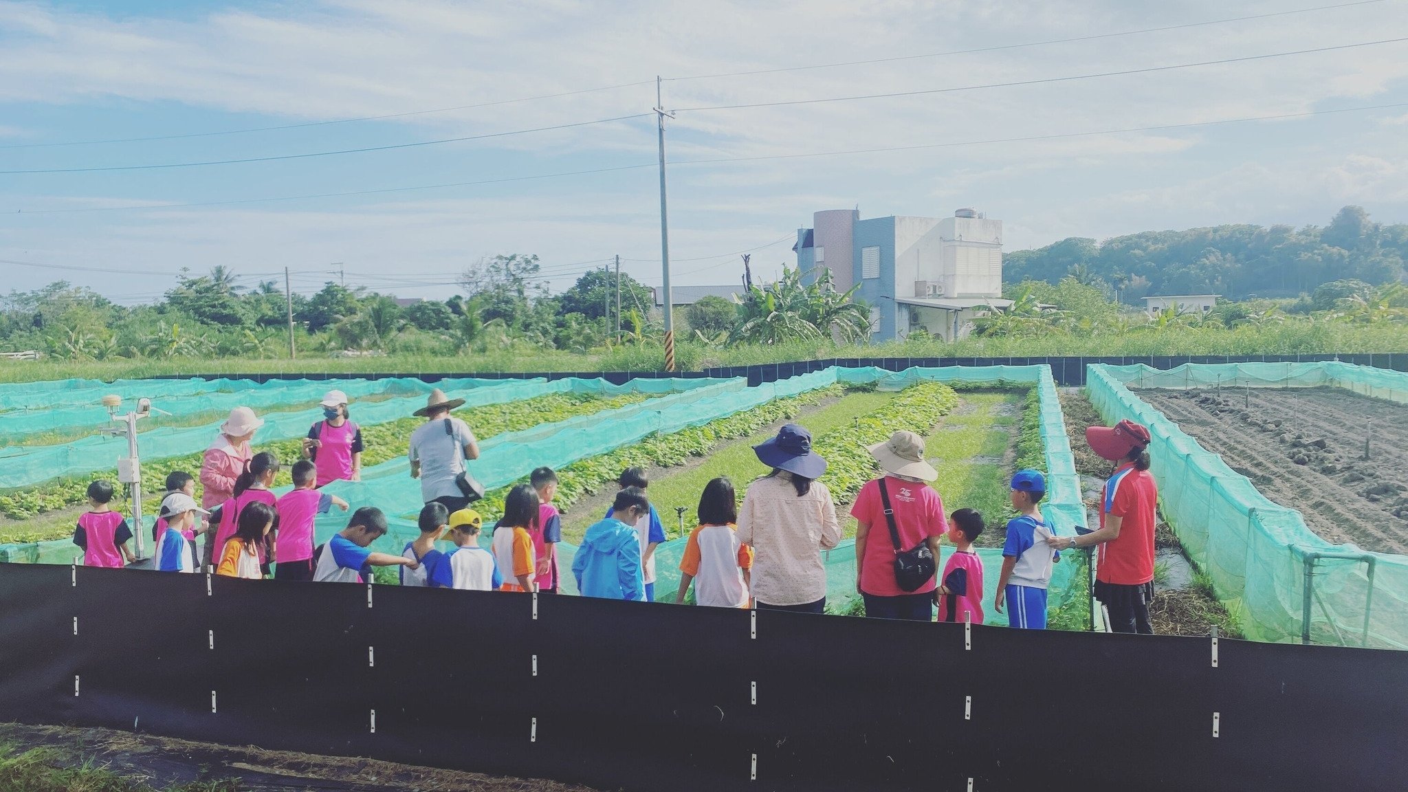 【7歲以上 | 台東長濱 AWOS 宏成農場】來當蝸牛小博士！蝸牛跟你想得不一樣？！