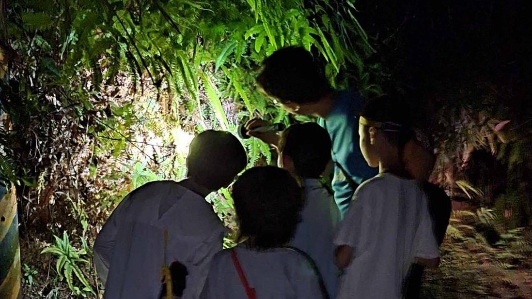 【3歲以上】野外觀察家｜南投蓮華池日間生態導覽