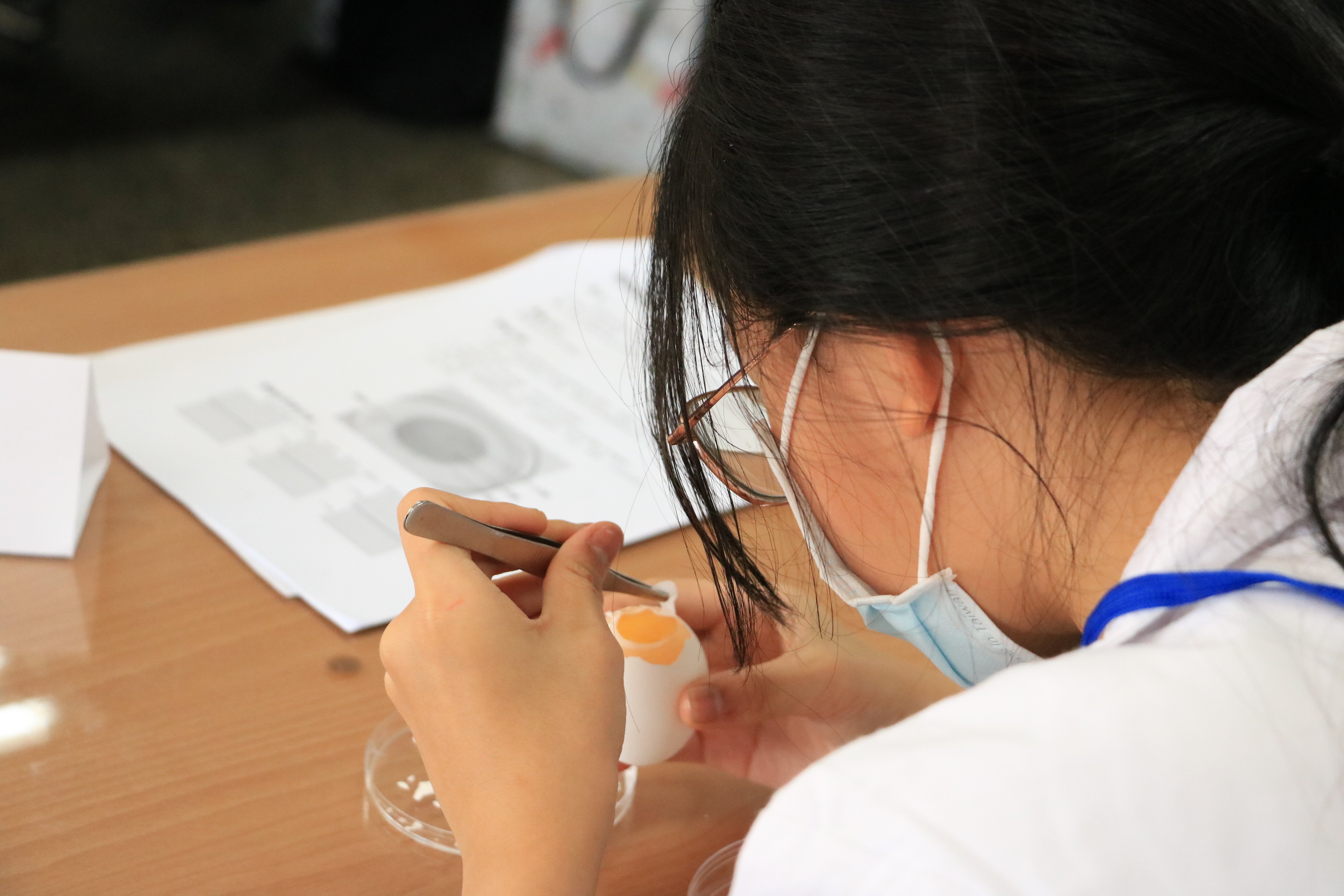 【升四~升七年級】醫學人文五天不過夜夏令營｜顱顏疾病 x 多元尊重 x 同理心