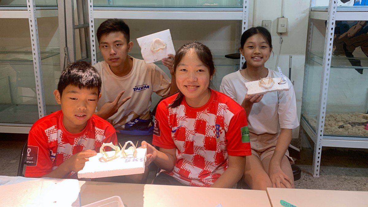 【6歲以上】鯊魚大解密－鯊魚牙齒標本 DIY