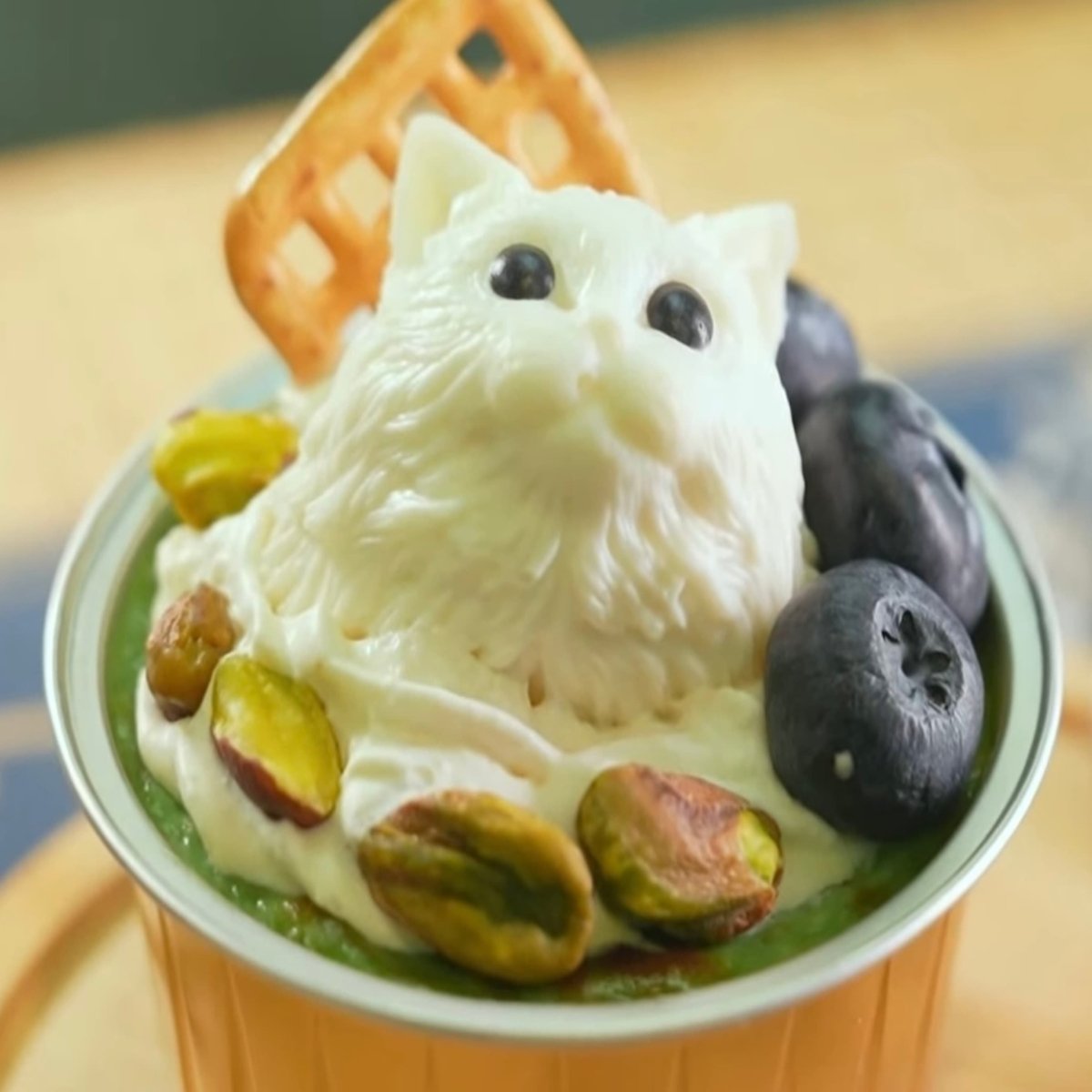 巨貓森林