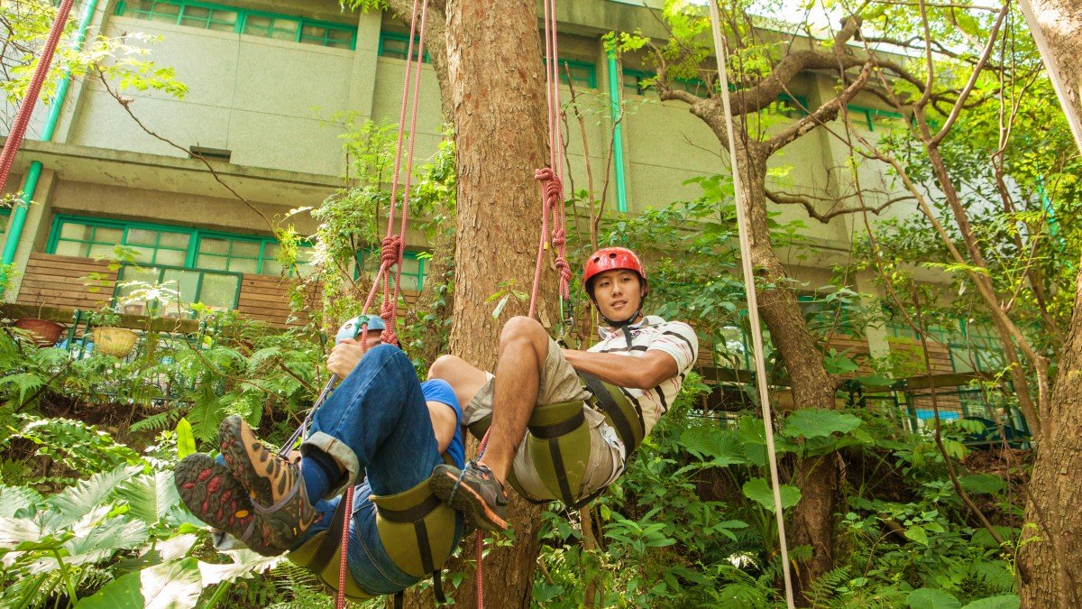 【5~55歲】居高臨下!來去芝山文化生態綠園攀樹+DIY 清新療癒龍貓盆栽!