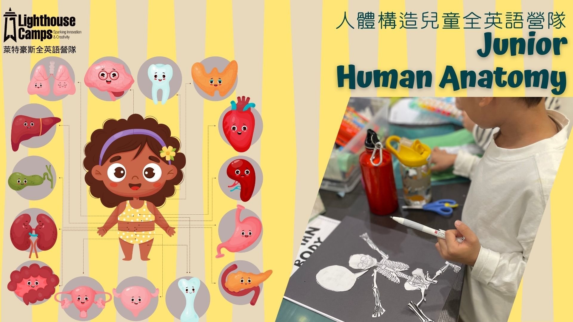 【5~7歲｜台北信義】探索人體構造的奧秘四/五日半天冬令營 Junior / Human Anatomy 
