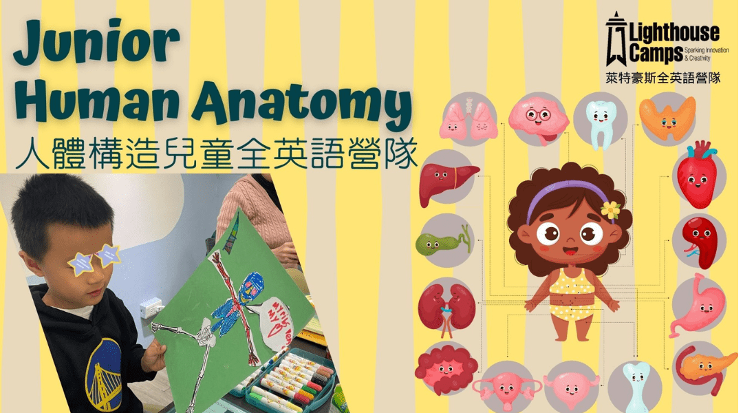 【5~7歲｜全英語｜信義】探索人體構造的奧秘五日半天夏令營 Junior Human Anatomy 