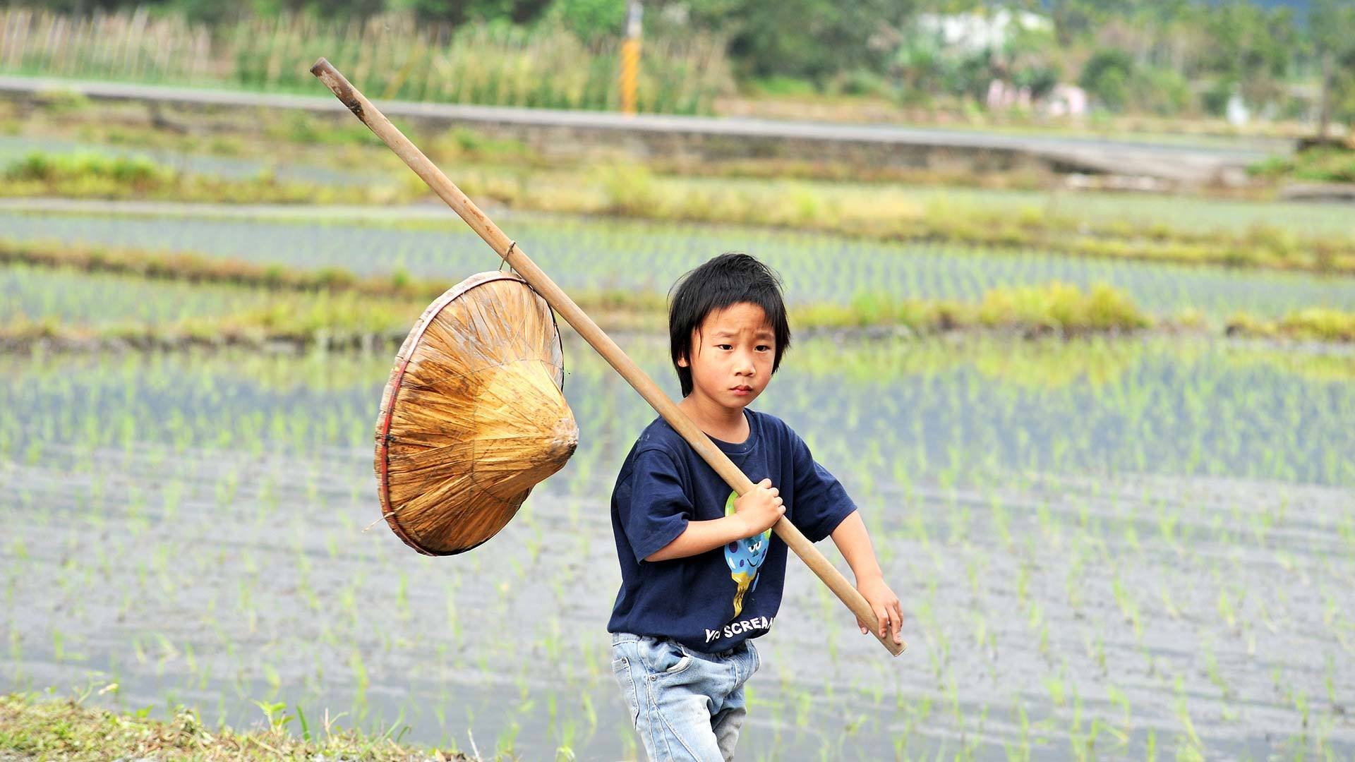 【3歲以上】食農教育：小農夫｜宜蘭親子割稻體驗活動