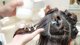 法國頂級 René Furter 頭皮肩頸深層 SPA-NOUS 我們|hair space ( 原 Bellezza Hair )