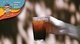 Coffee | 1 Pax-Curee
