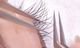 3D Eyelashes Extension-M Beaute