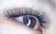 Camellia Eyelashes Extension-M Beaute